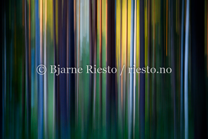 08200816
