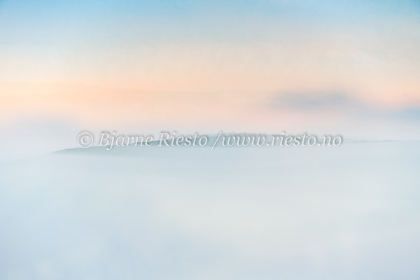 04201176