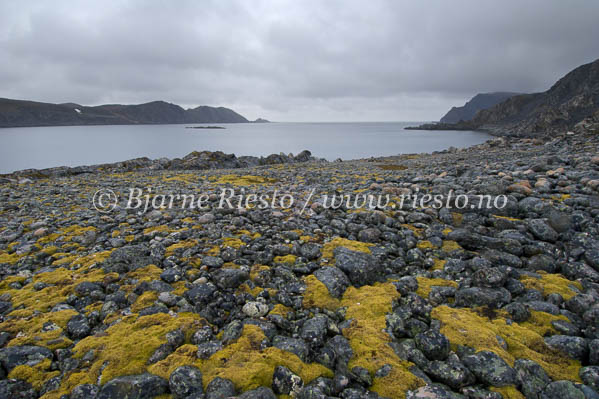 Kystlandskap på Norkynhalvøya / Coastal landscape at the Nordkyn peninsula