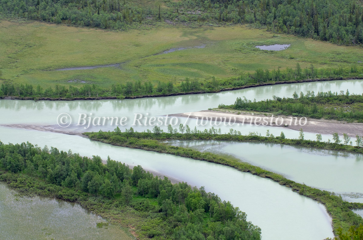 Rapadeltaet i Sarek. Sverige