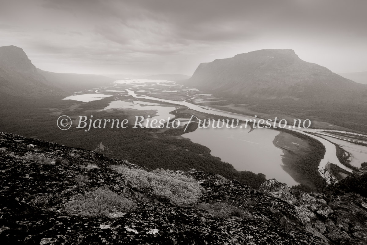 Rapadeltaet i Sarek. Sverige