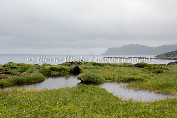 Kystlandskap på Sørøya. Hasvik / 