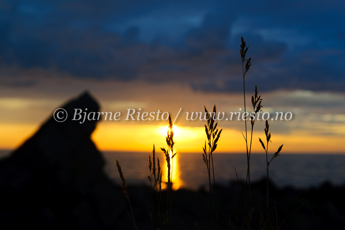 Midattssol på kysten mot Barentshavet