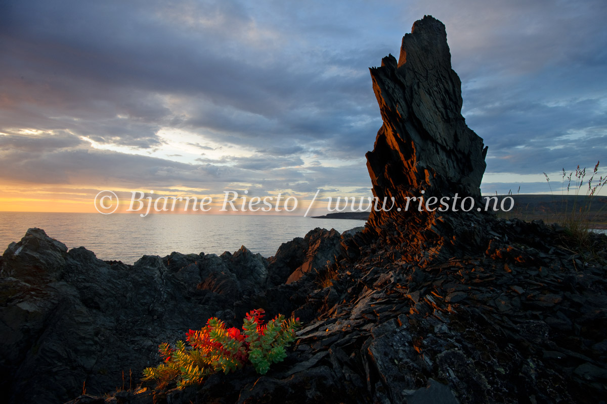 Midattssol på kysten mot Barentshavet