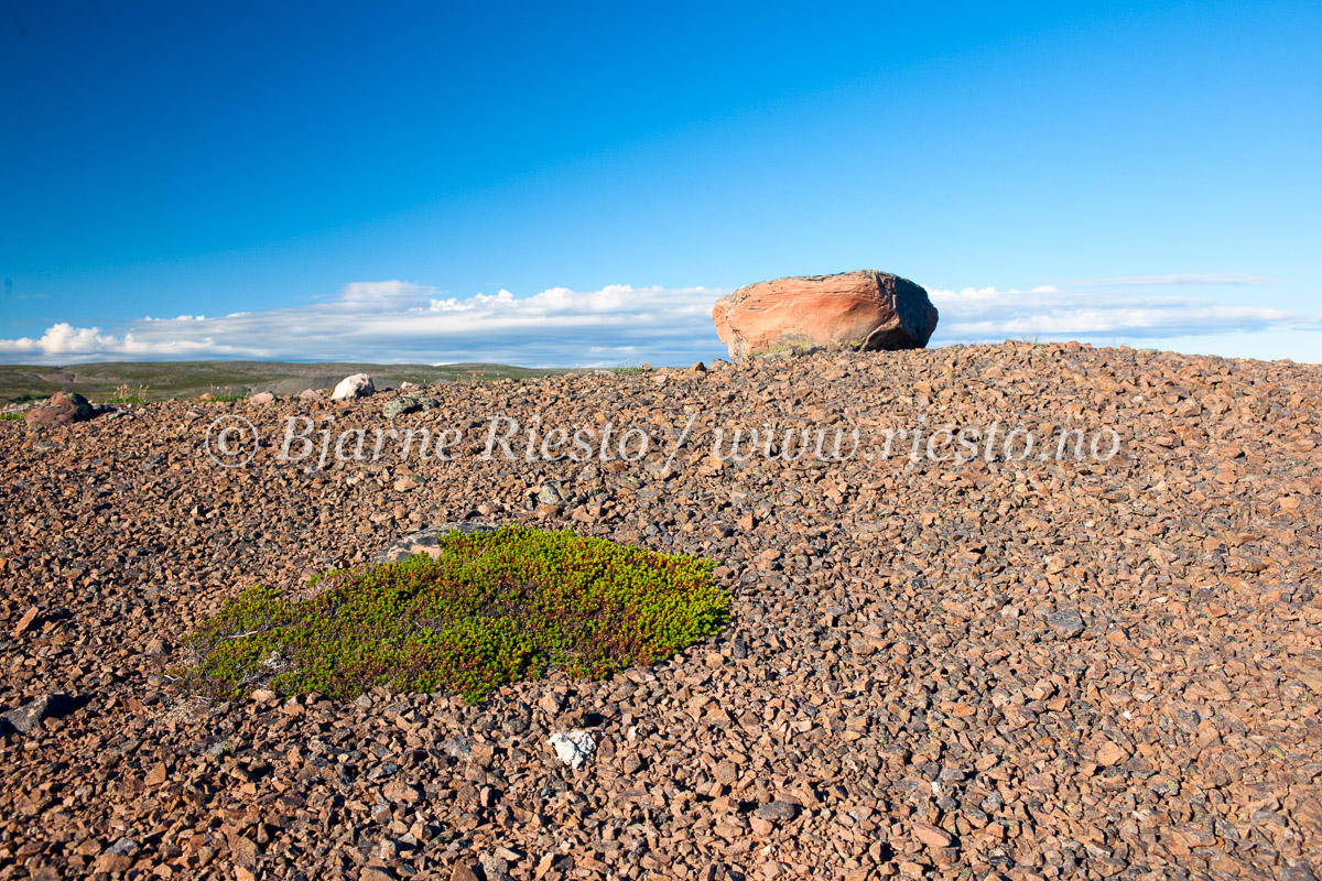 Varangerhalvøya nasjonalpark