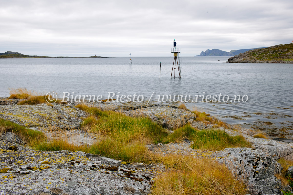 Gjesvær