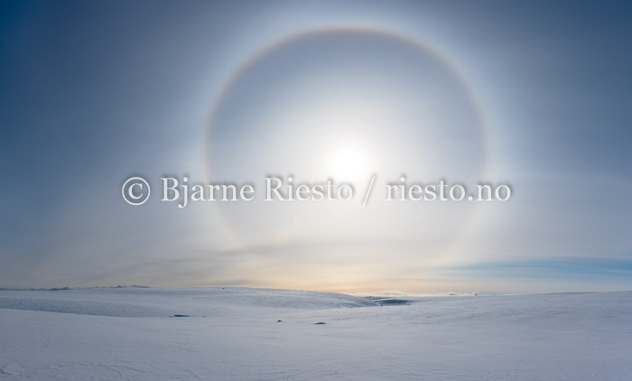 03182374-Pano