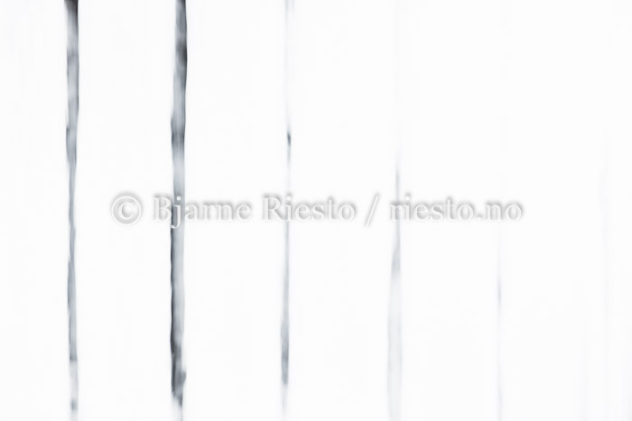 02130872