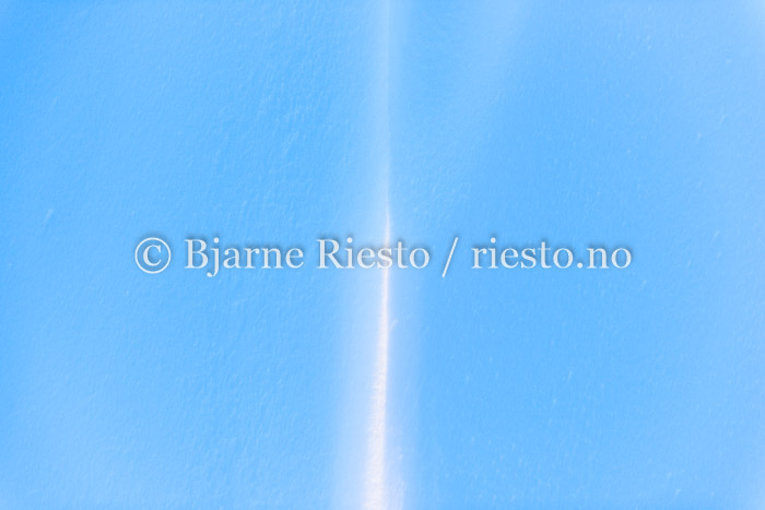 03200477