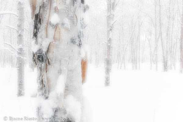 Cadaqués, Cadaques, Spain