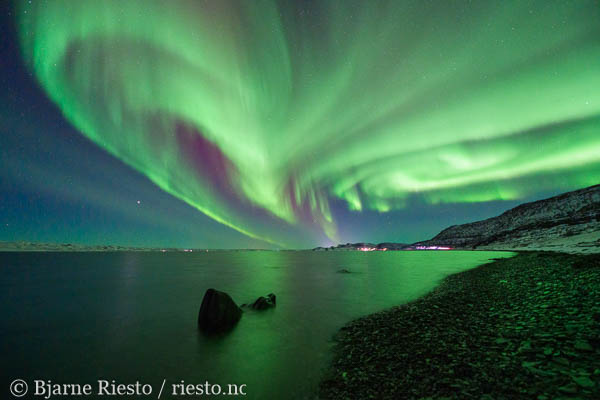 Geitrams. Varangerfjorden, Finnmark 