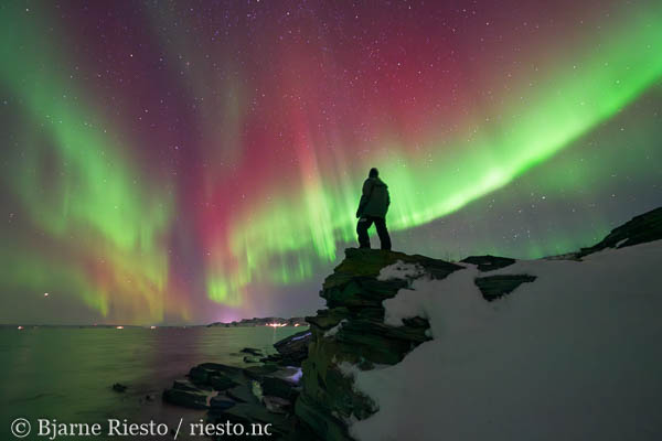 Geitrams. Varangerfjorden, Finnmark 