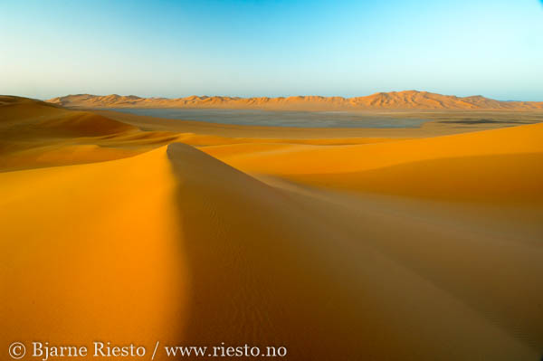 Giraffs. Chobe, Botswana