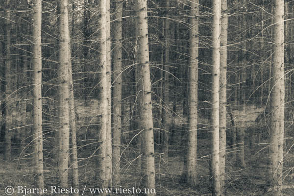 Cadaqués, Cadaques, Spain