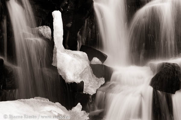 Bølge. Varangerfjorden, Finnmark 