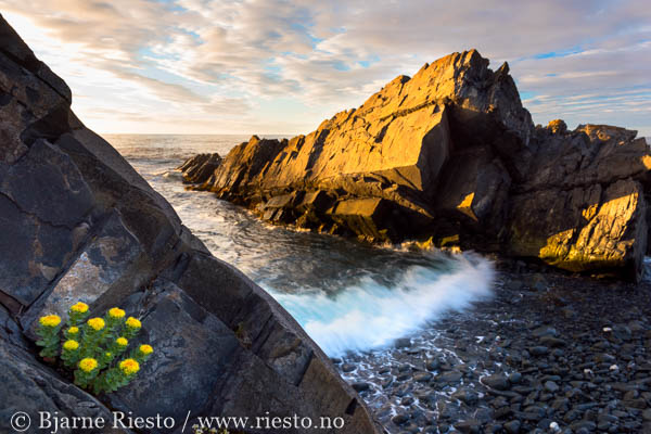 Myrull og midnattssol. Varangehalvøya, Finnmark 