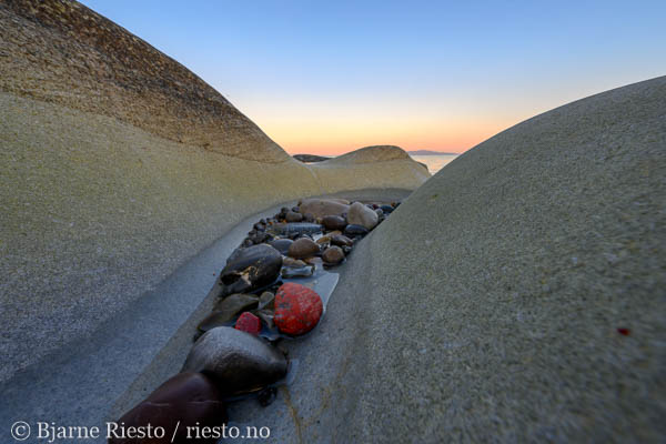 Multer, multebær. Finnmark 