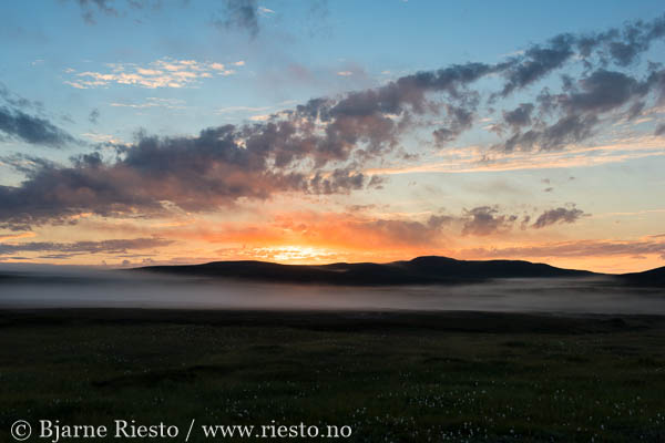 Myrull og midnattssol. Varangehalvøya, Finnmark 
