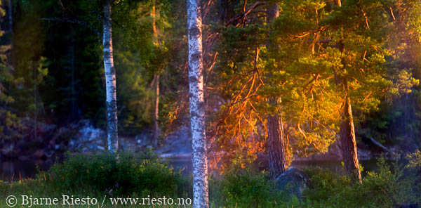 Cadaqués, Cadaques, Spain