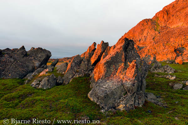 Myrull og midnattssol. Varangehalvøya, Finnmark 