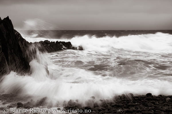 Bølge. Varangerfjorden, Finnmark 
