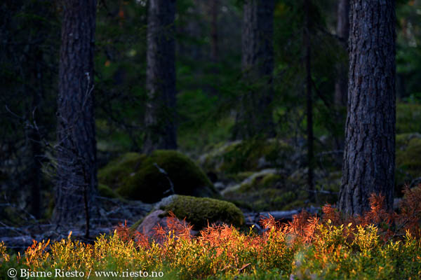 Cadaqués, Cadaques, Spain