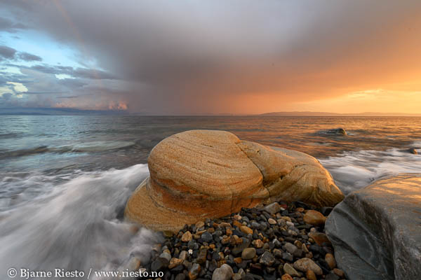 Multer, multebær. Finnmark 