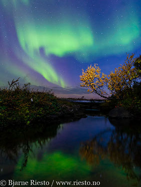 Nordlys, Aurora borealis, Finnmark 