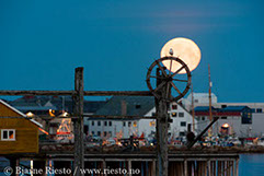 Bølge. Varangerfjorden, Finnmark 