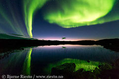 Geitrams. Varangerfjorden, Finnmark 