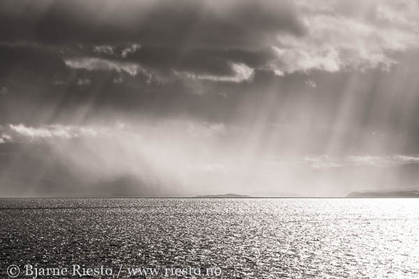 Bølge. Varangerfjorden, Finnmark 