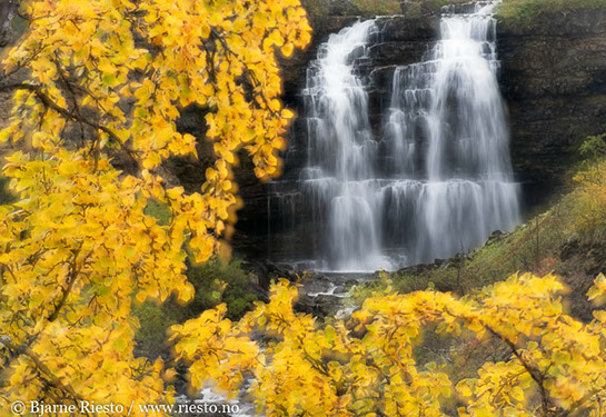 Myrull og midnattssol. Varangehalvøya, Finnmark 