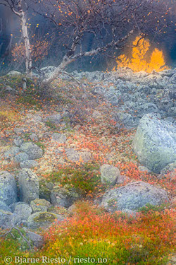 Myrull og midnattssol. Varangehalvøya, Finnmark 