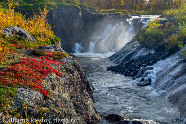Myrull og midnattssol. Varangehalvøya, Finnmark 
