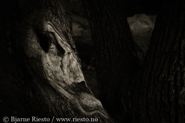 Cadaqués, Cadaques, Spain