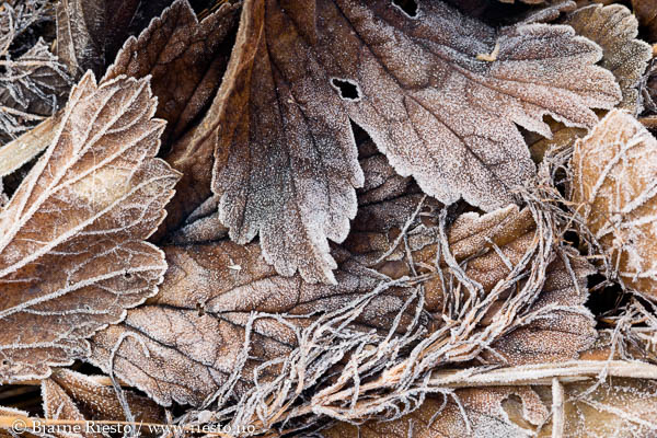 Cadaqués, Cadaques, Spain