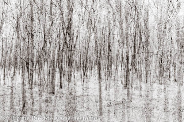 Cadaqués, Cadaques, Spain