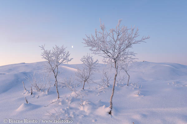 Varangerfjorden ved Vadsø. Finnmark