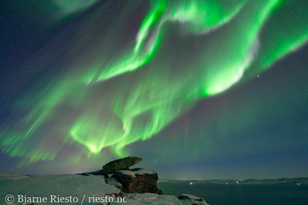 Geitrams. Varangerfjorden, Finnmark 