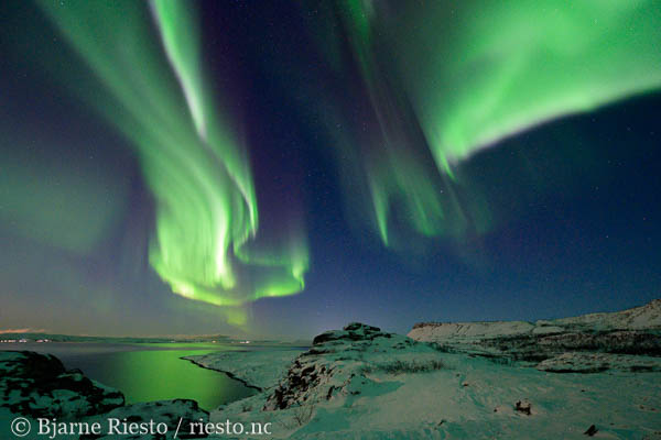Geitrams. Varangerfjorden, Finnmark 