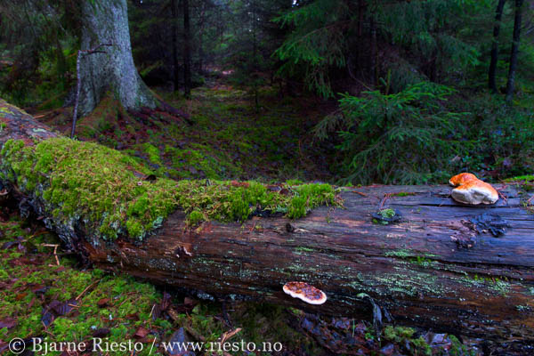 Cadaqués, Cadaques, Spain