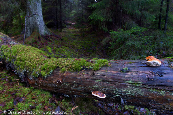 Cadaqués, Cadaques, Spain