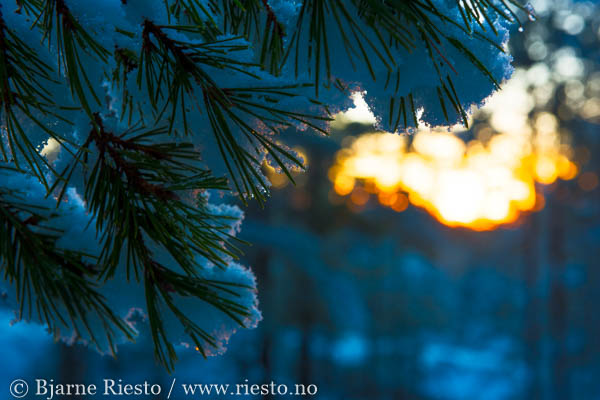 Cadaqués, Cadaques, Spain
