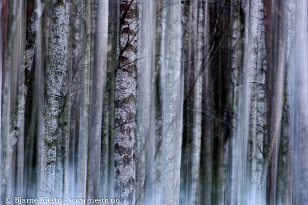 Cadaqués, Cadaques, Spain