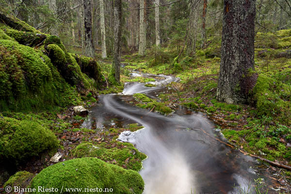 Cadaqués, Cadaques, Spain